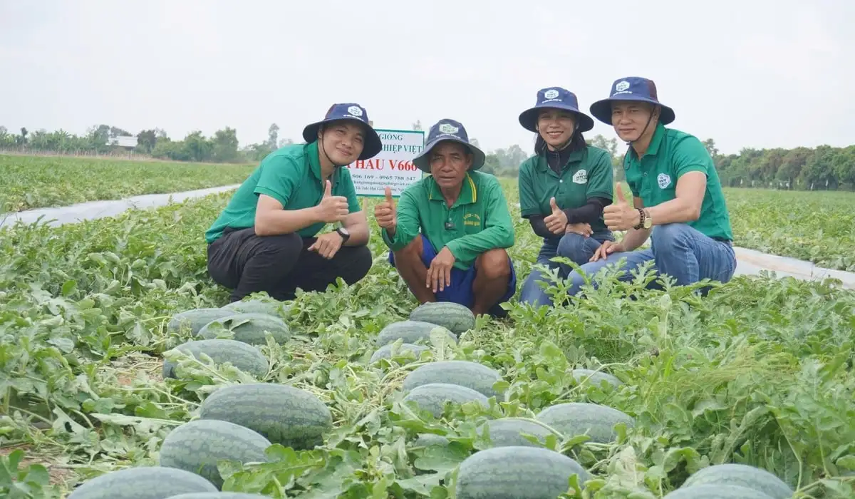 Linh động mô hình sản xuất hiệu quả để nâng cao cuộc sống