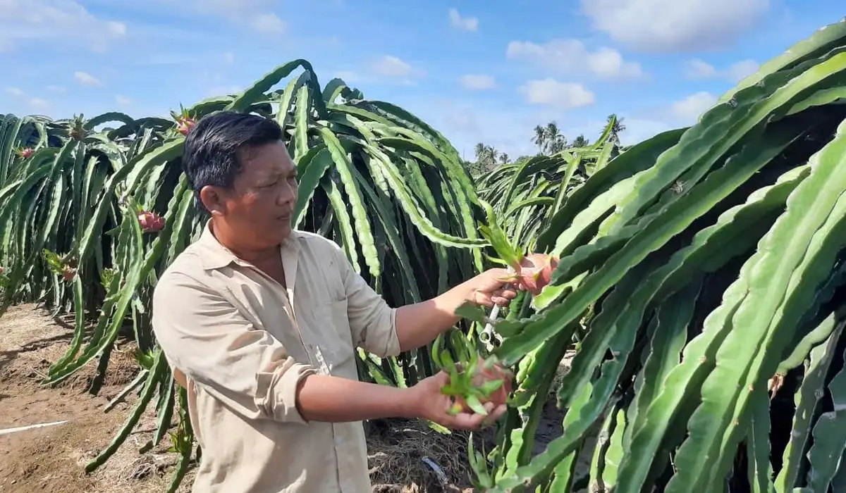 Linh động mô hình sản xuất hiệu quả để nâng cao cuộc sống