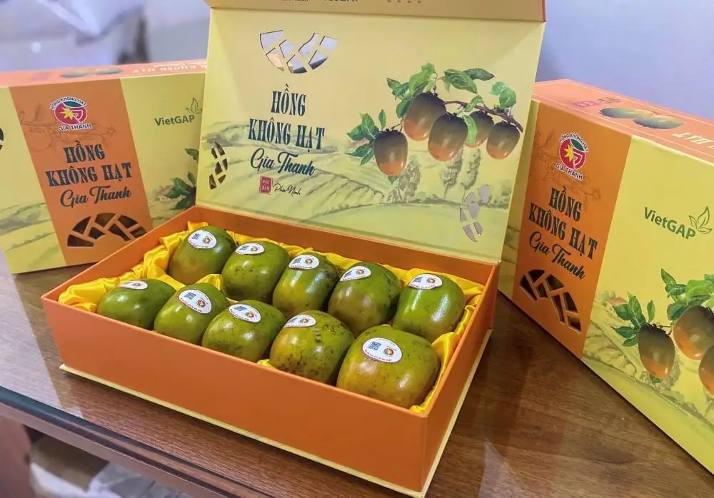 Mở rộng vùng nguyên liệu, nâng giá trị xuất khẩu cây ăn quả Phú Thọ