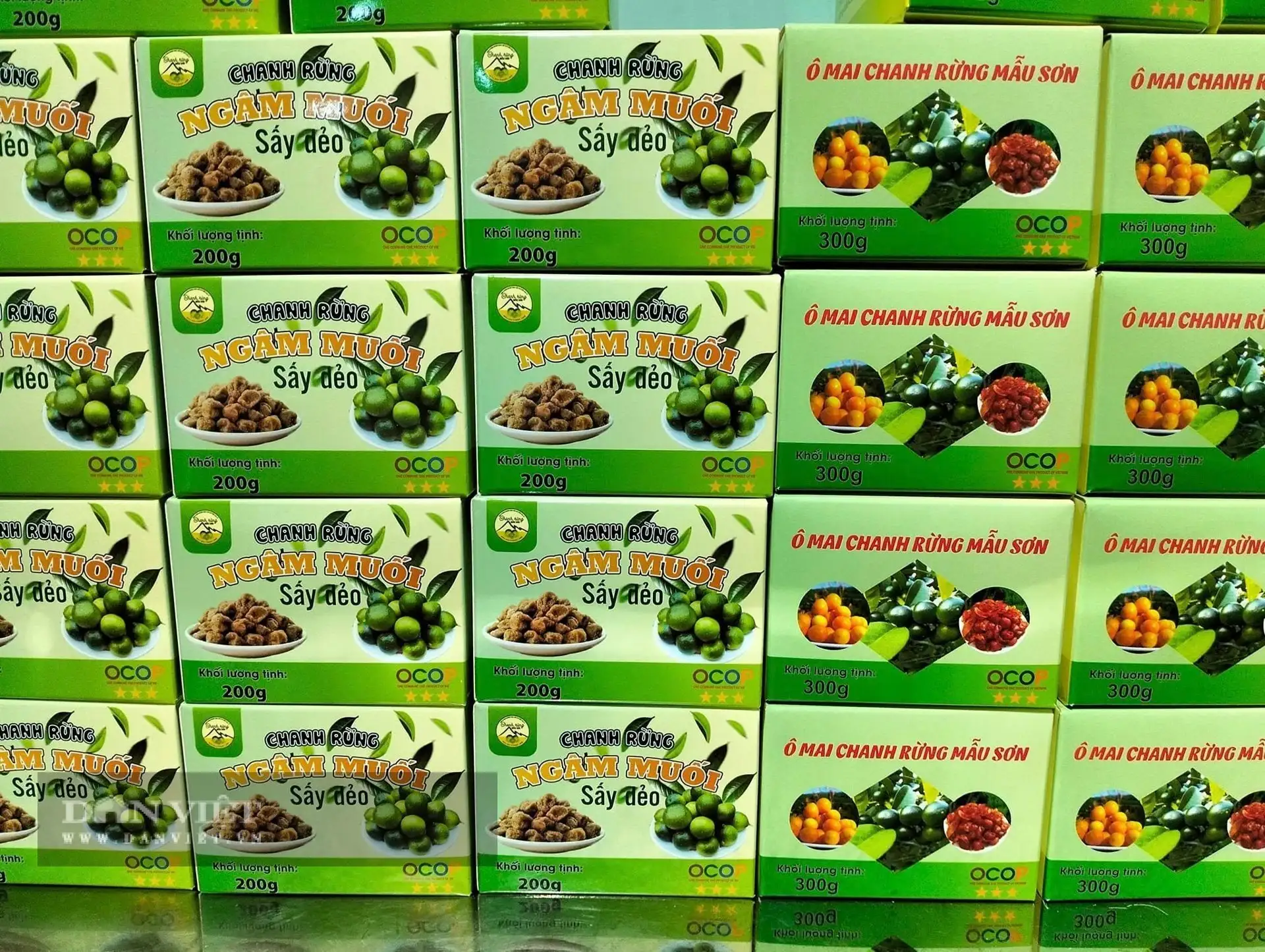 Một cử nhân “gác” bằng đại học về vùng núi cao nhất tỉnh Lạng Sơn “vặt” quả rừng làm gì mà ra 3 sao OCOP?