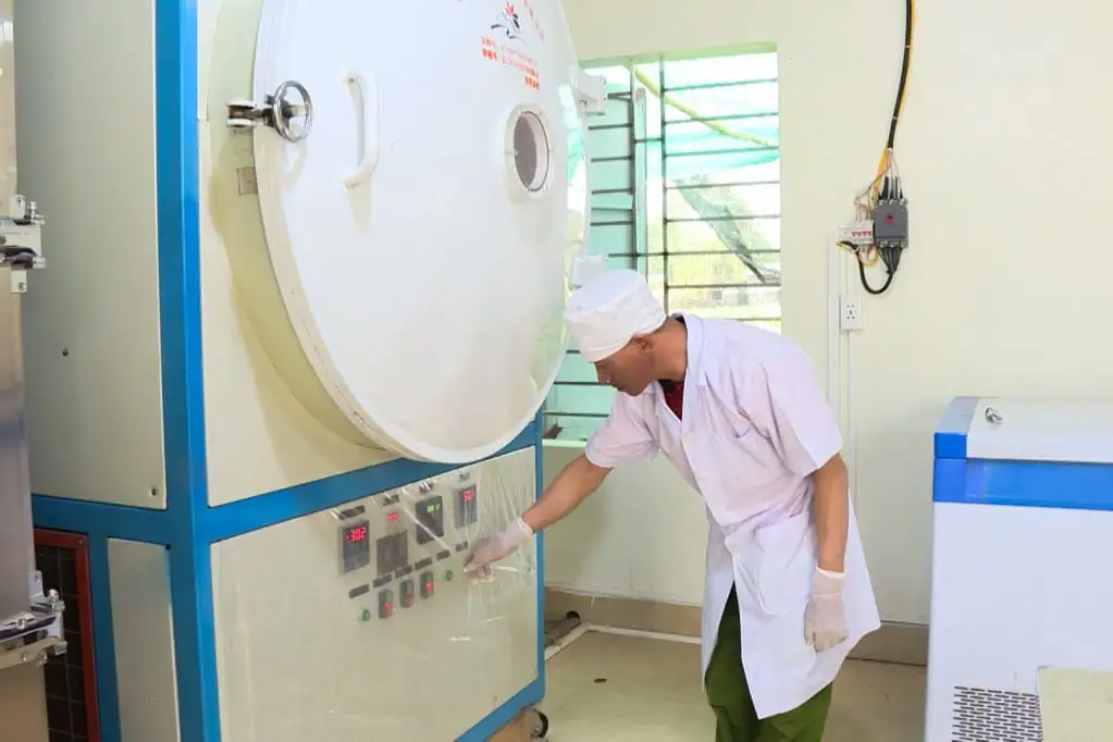 Một người làm nông nghiệp “tay ngang” ở Quảng Ninh, sao lại có tham vọng mang “vàng” trên vách núi ra “chợ toàn cầu”?