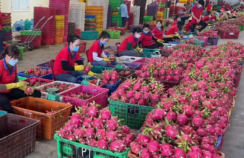 Một xã mới ven biển tỉnh Lâm Đồng, có những khu công nghiệp lớn, đang quyết tâm xây dựng xã nông thôn mới nâng cao