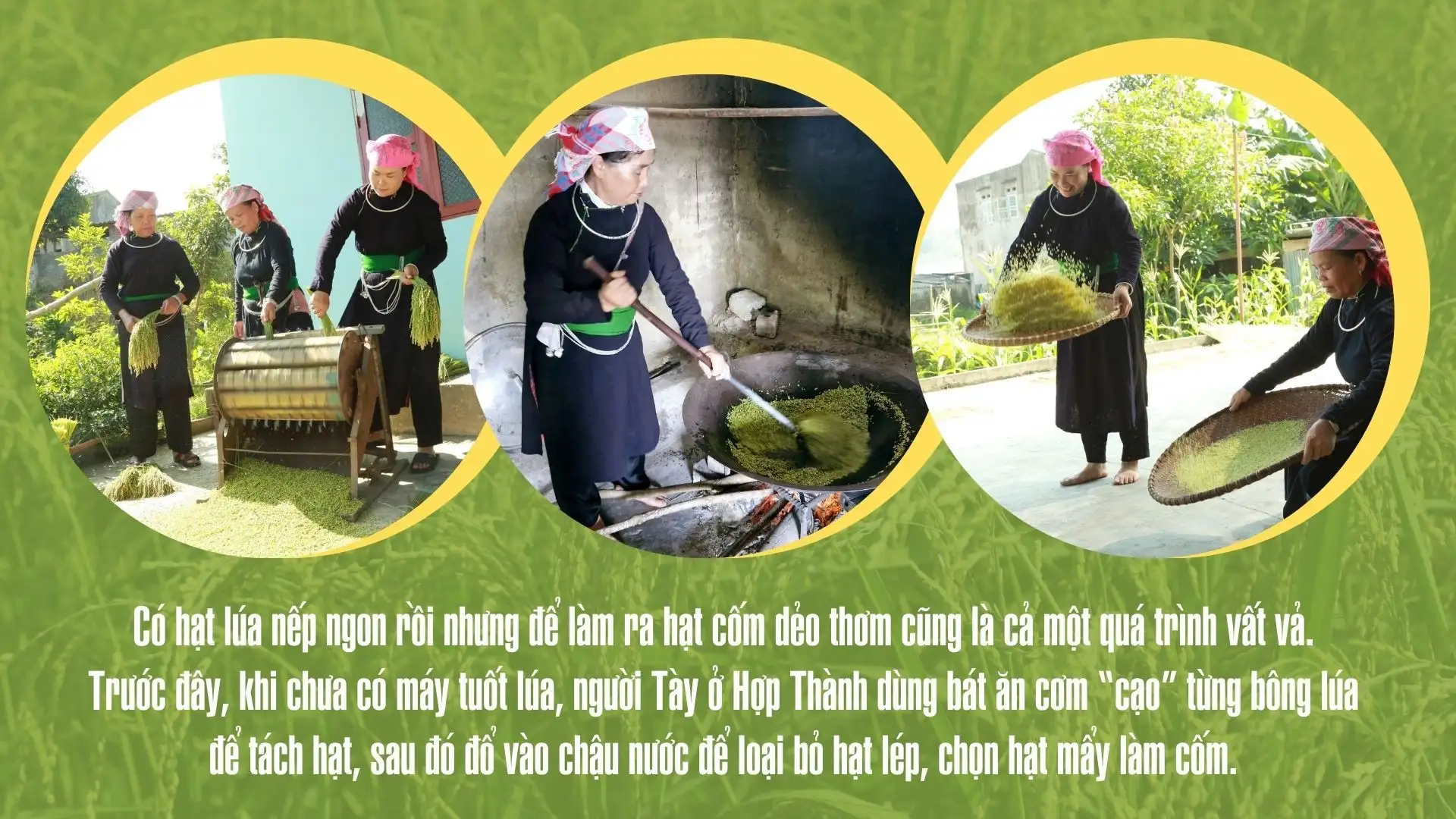 Mùa cốm mới ở Hợp Thành