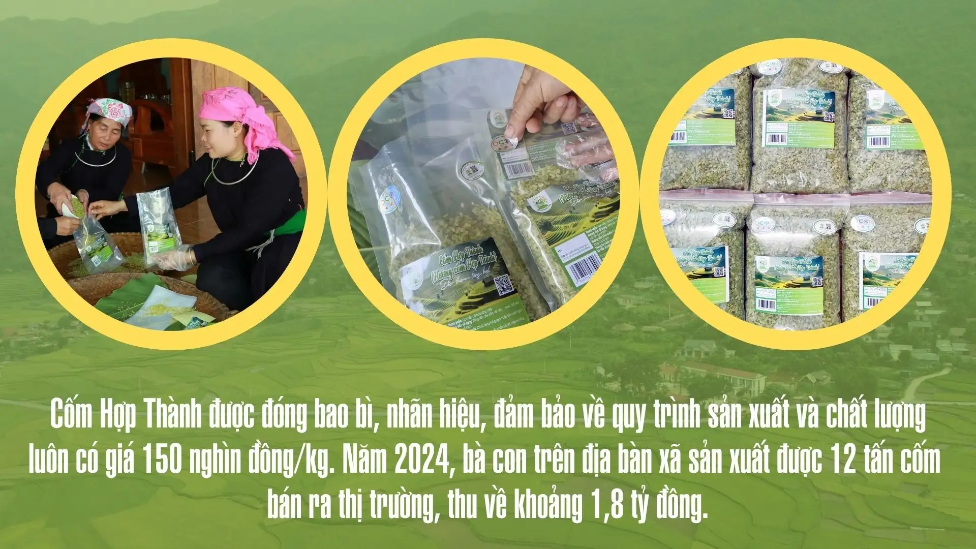 Mùa cốm mới ở Hợp Thành