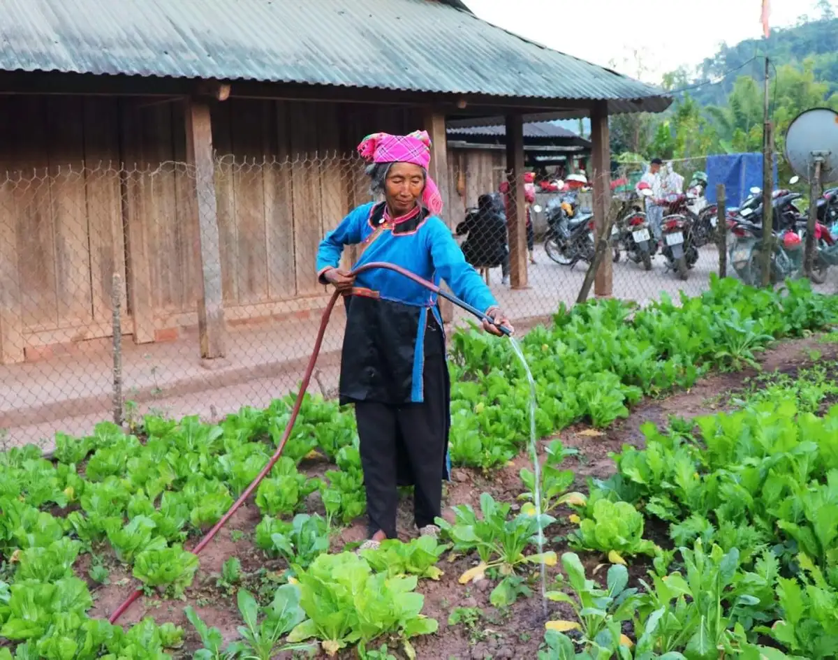 Nậm Mạ chuyển mình nhờ chính sách hỗ trợ nông nghiệp bền vững
