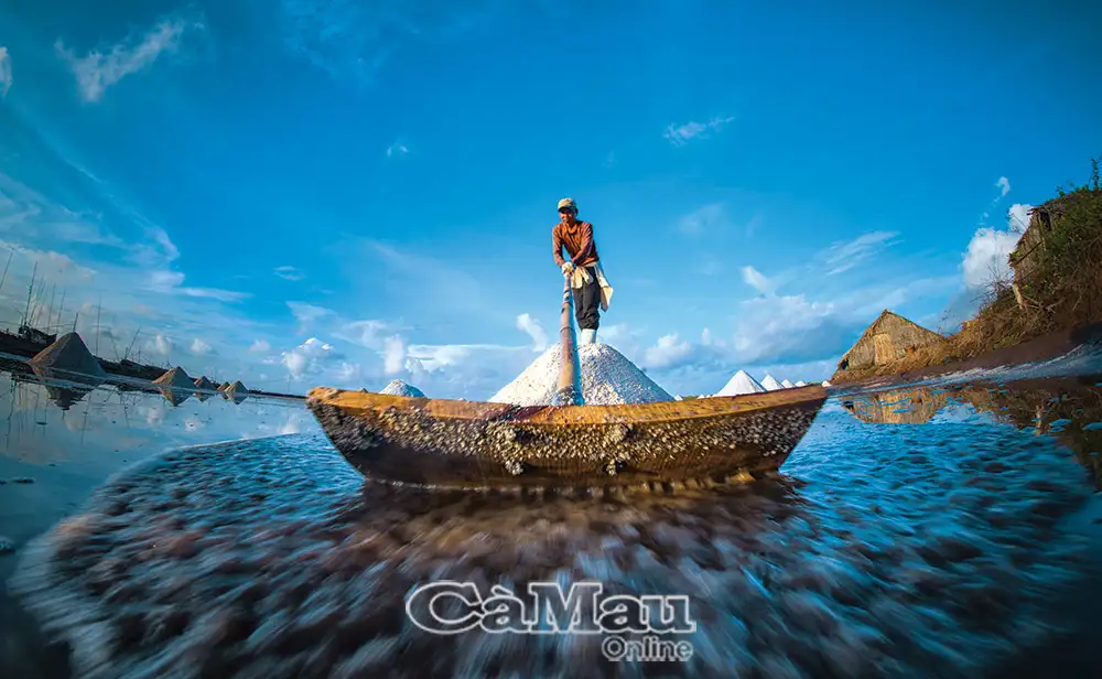 Nâng tầm hạt muối quê hương