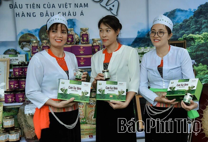 Nâng tầm sản phẩm OCOP &#8211; Khi tinh hoa bản địa được đánh thức