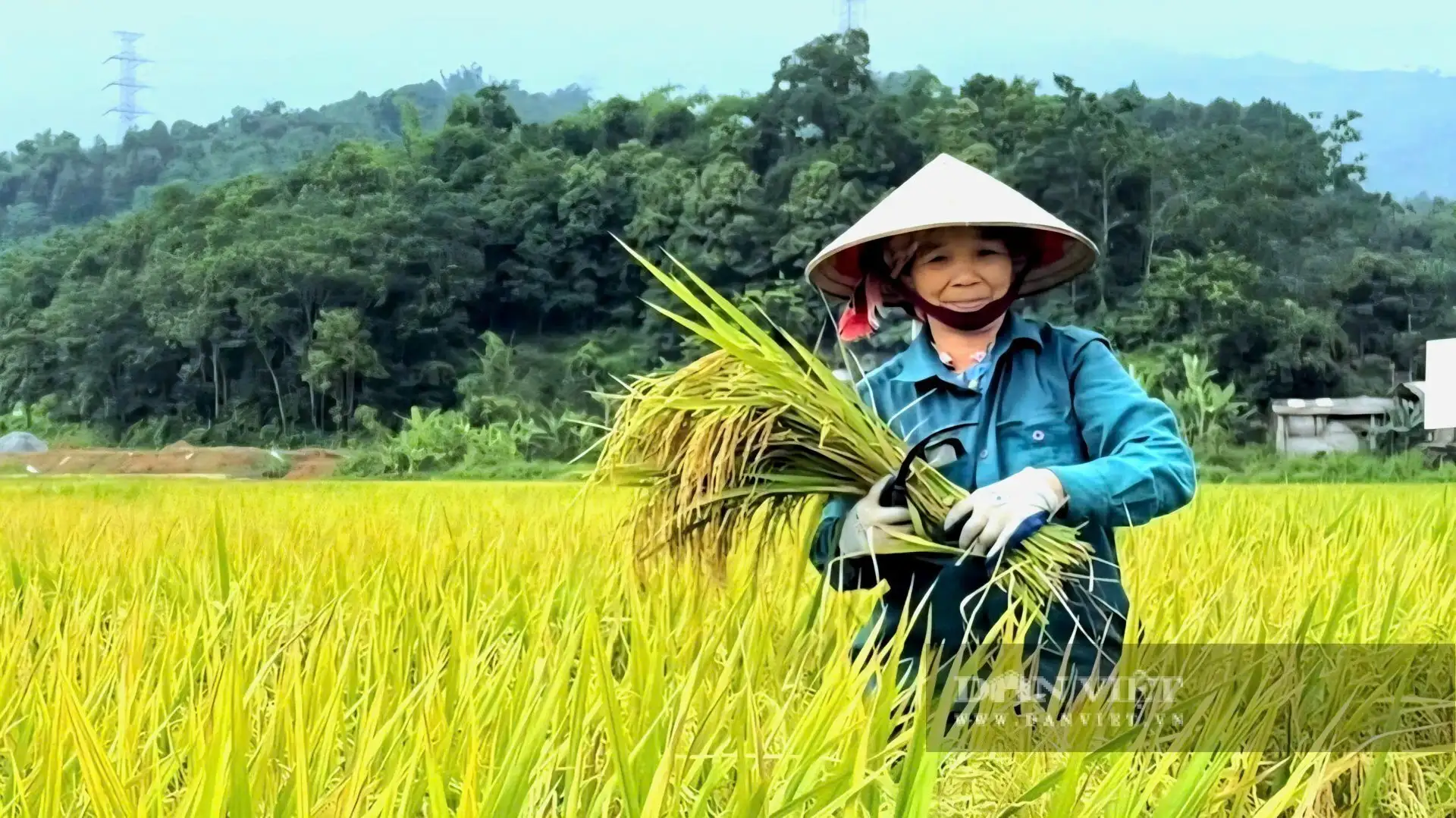 Ngành trồng trọt giảm 15% phát thải khí nhà kính năm 2035, mô hình giảm phát thải được triển khai tại 34 tỉnh, thành phố