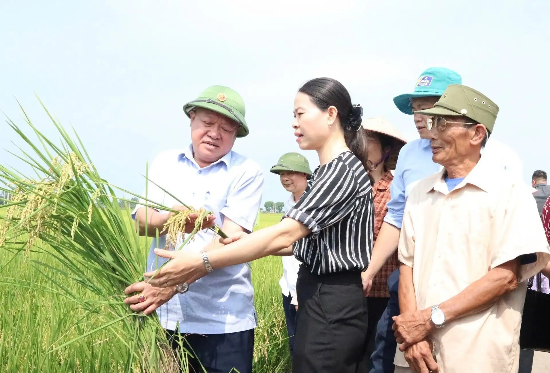 Ngành trồng trọt giảm 15% phát thải khí nhà kính năm 2035, mô hình giảm phát thải được triển khai tại 34 tỉnh, thành phố