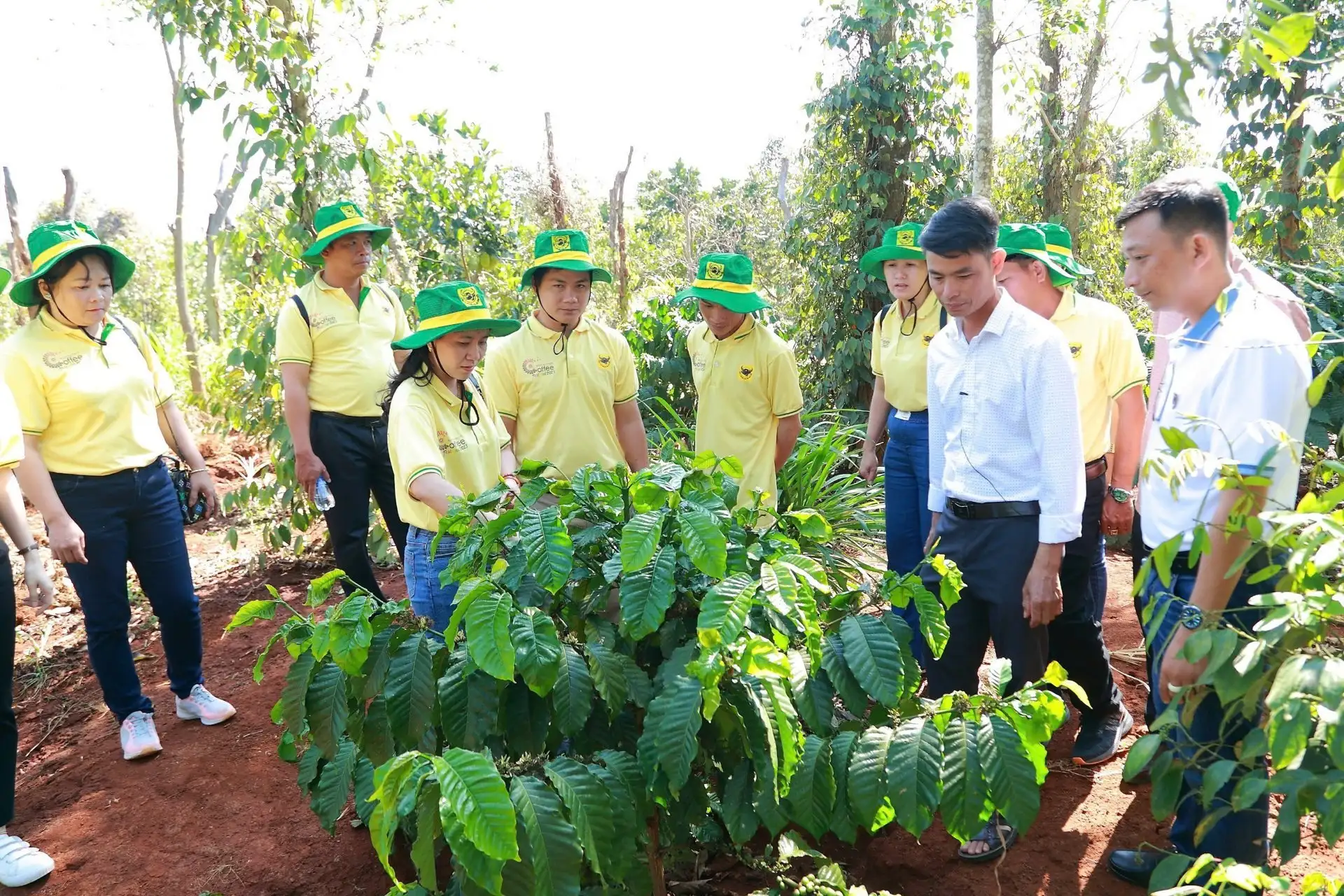 Ngành trồng trọt giảm 15% phát thải khí nhà kính năm 2035, mô hình giảm phát thải được triển khai tại 34 tỉnh, thành phố