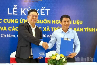 Ngày hội Cua Cà Mau 2025, nâng tầm thương hiệu, phát triển du lịch bền vững