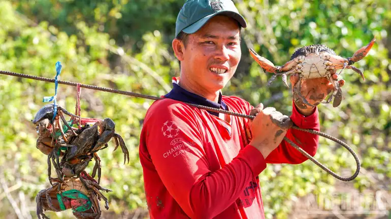 Ngày hội Cua Cà Mau 2025, nâng tầm thương hiệu, phát triển du lịch bền vững