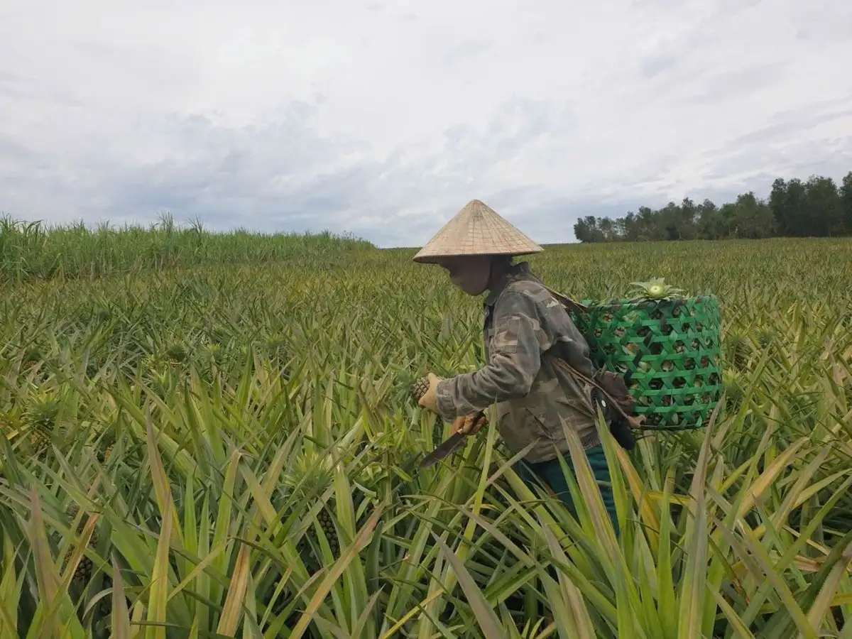 Nghệ An kiện toàn hệ thống khuyến nông