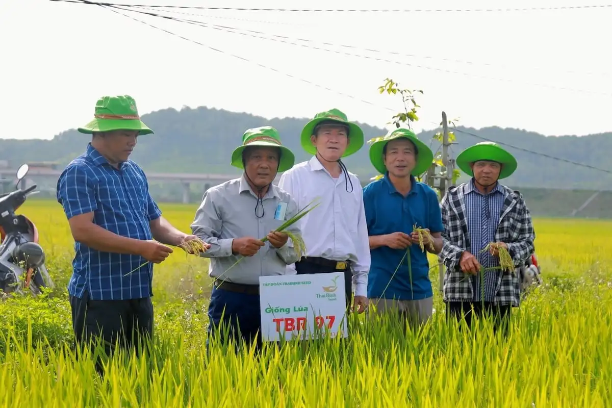 Nghệ An triển khai Đề án sản xuất giảm phát thải lĩnh vực trồng trọt