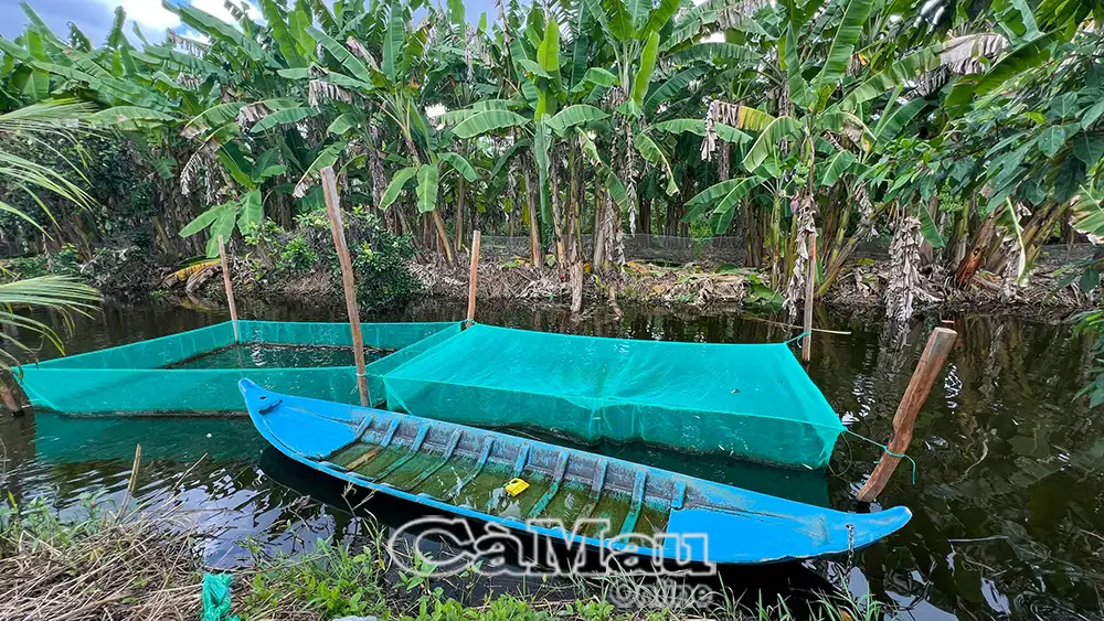 Nguyễn Phích xây dựng nông thôn mới nâng cao