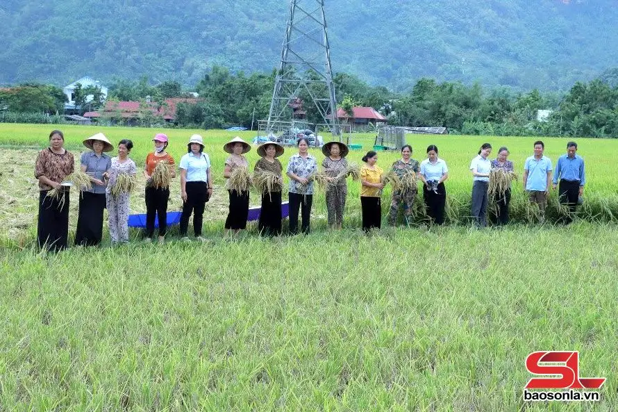 Nhân rộng mô hình nông nghiệp tuần hoàn