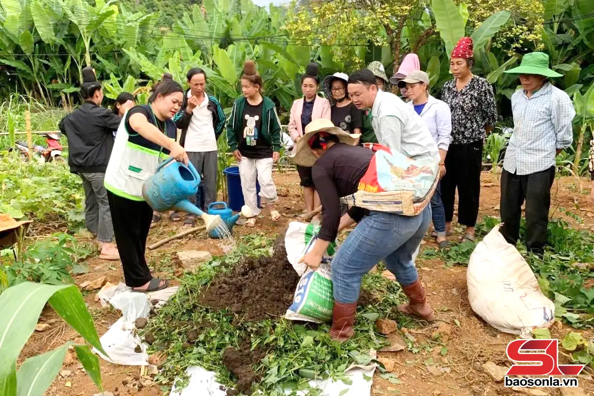 Nhân rộng mô hình nông nghiệp tuần hoàn