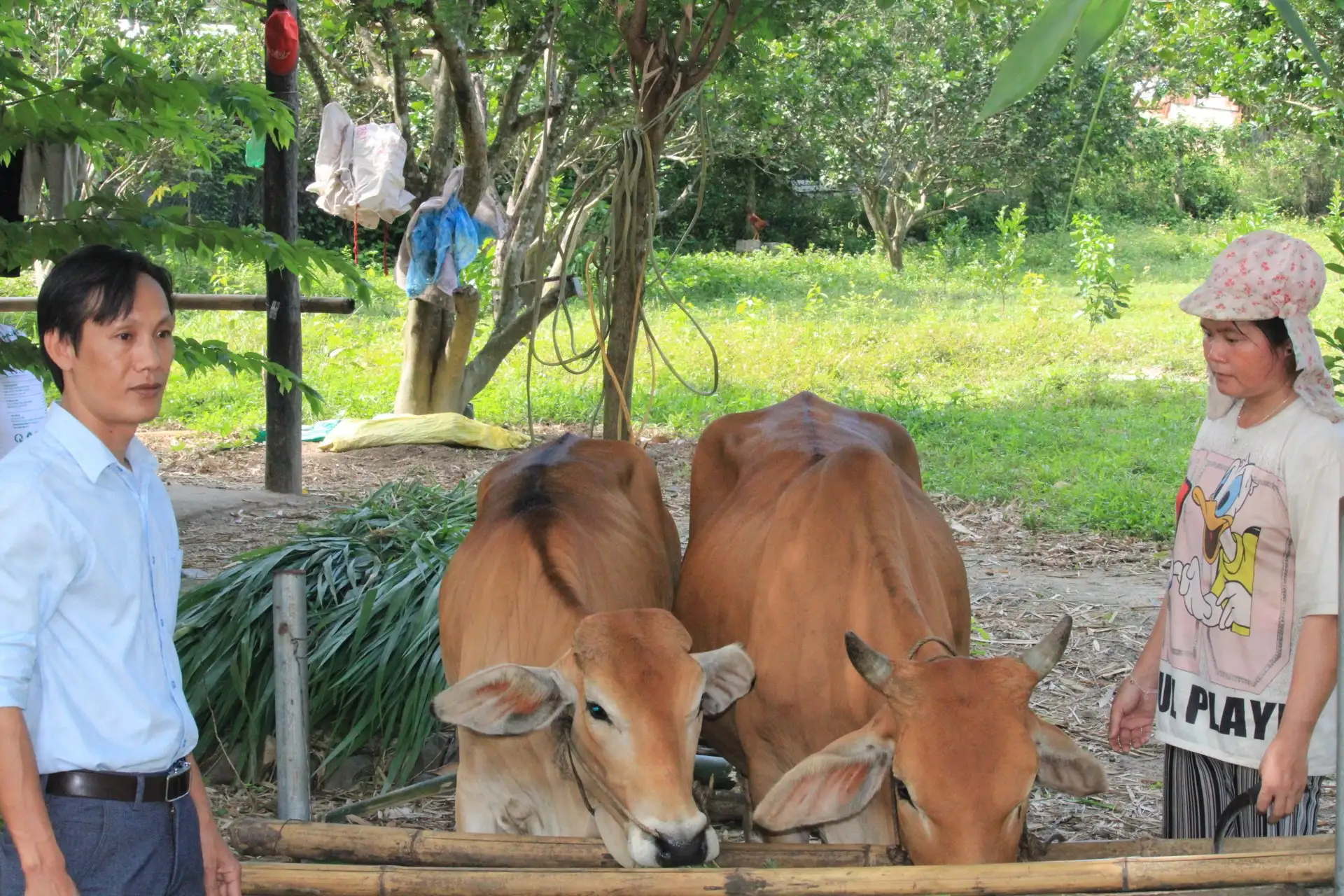 Nhiều mô hình ở các xã miền núi Khánh Hòa được tiếp vốn giúp dân có cuộc sống khấm khá