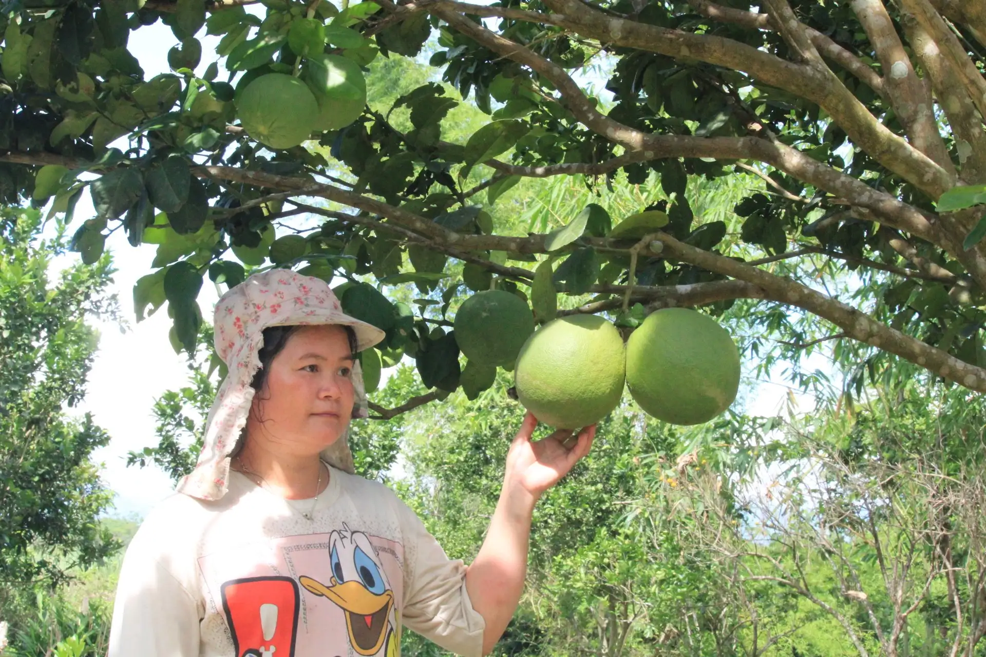 Nhiều mô hình ở các xã miền núi Khánh Hòa được tiếp vốn giúp dân có cuộc sống khấm khá