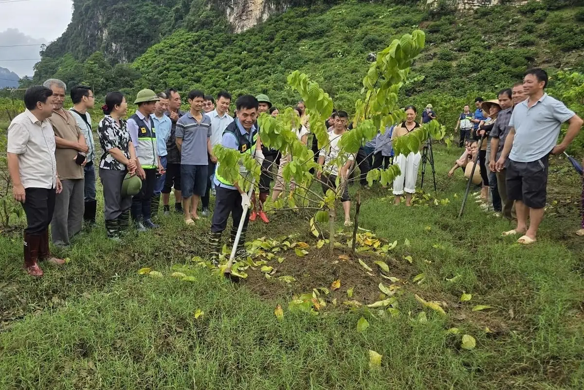 Những bàn tay khuyến nông nơi vùng lũ
