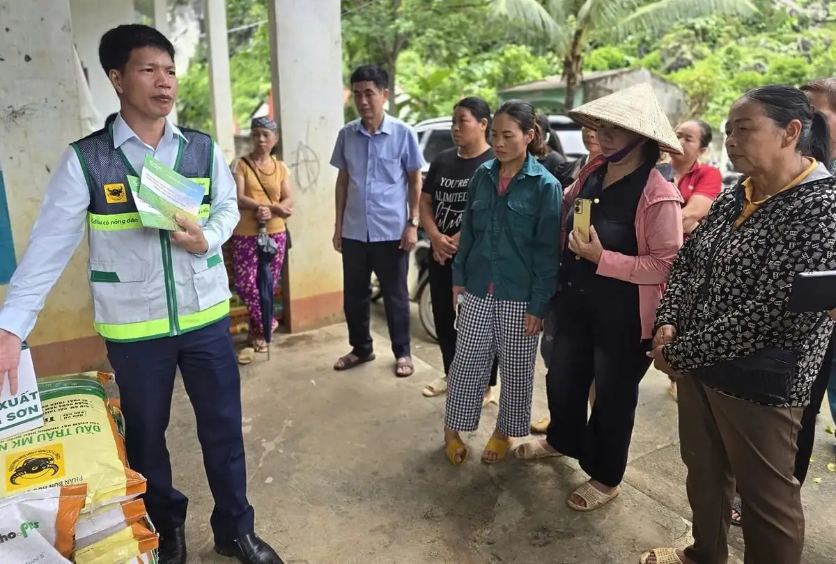 Những bàn tay khuyến nông nơi vùng lũ