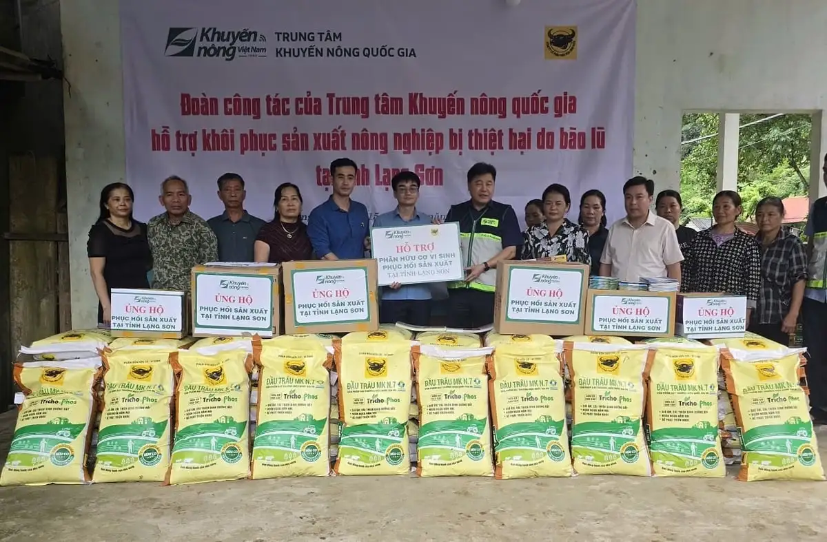 Những bàn tay khuyến nông nơi vùng lũ