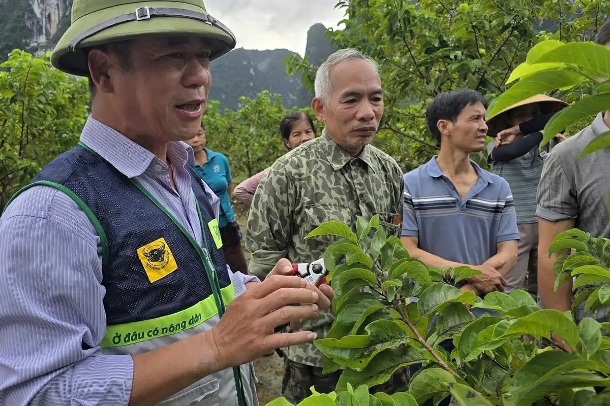 Những bàn tay khuyến nông nơi vùng lũ