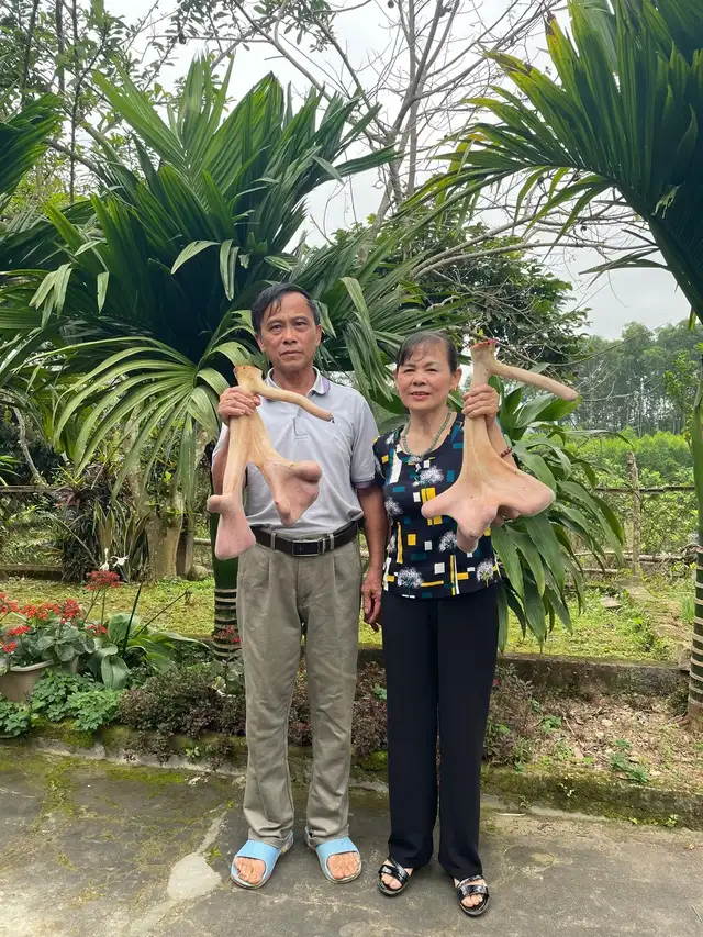 Những chính sách của Hà Tĩnh giúp người dân giảm nghèo bền vững nhờ nuôi hươu