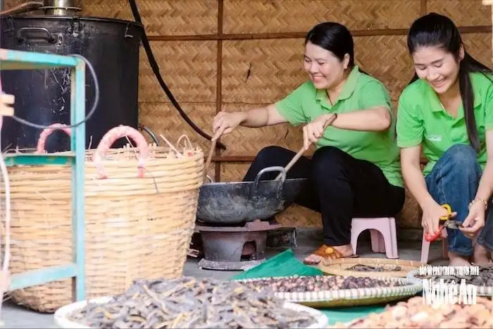 Những nữ doanh nhân Nghệ An gieo khát vọng từ nông nghiệp sạch