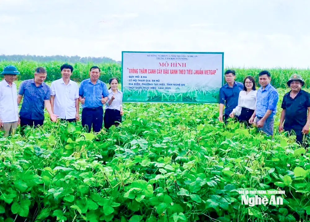 Những nữ doanh nhân Nghệ An gieo khát vọng từ nông nghiệp sạch