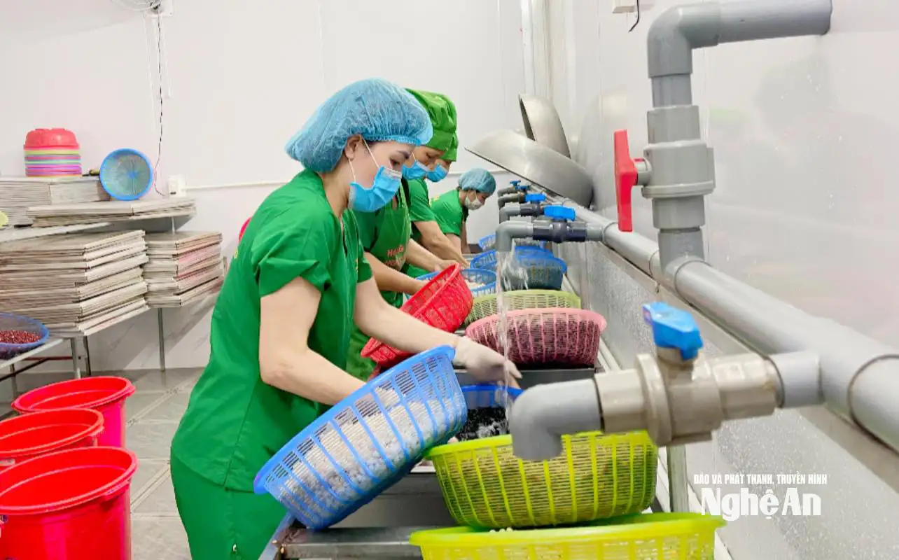 Những nữ doanh nhân Nghệ An gieo khát vọng từ nông nghiệp sạch