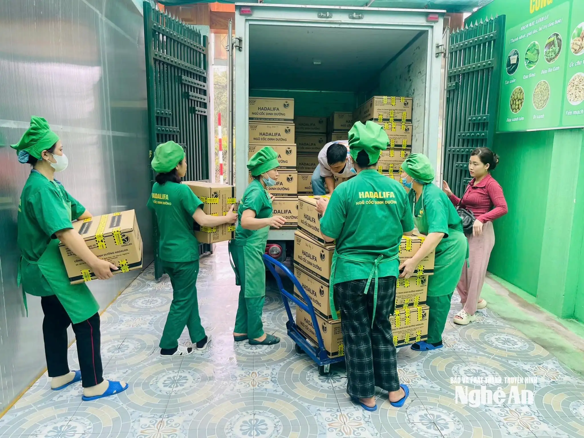 Những nữ doanh nhân Nghệ An gieo khát vọng từ nông nghiệp sạch