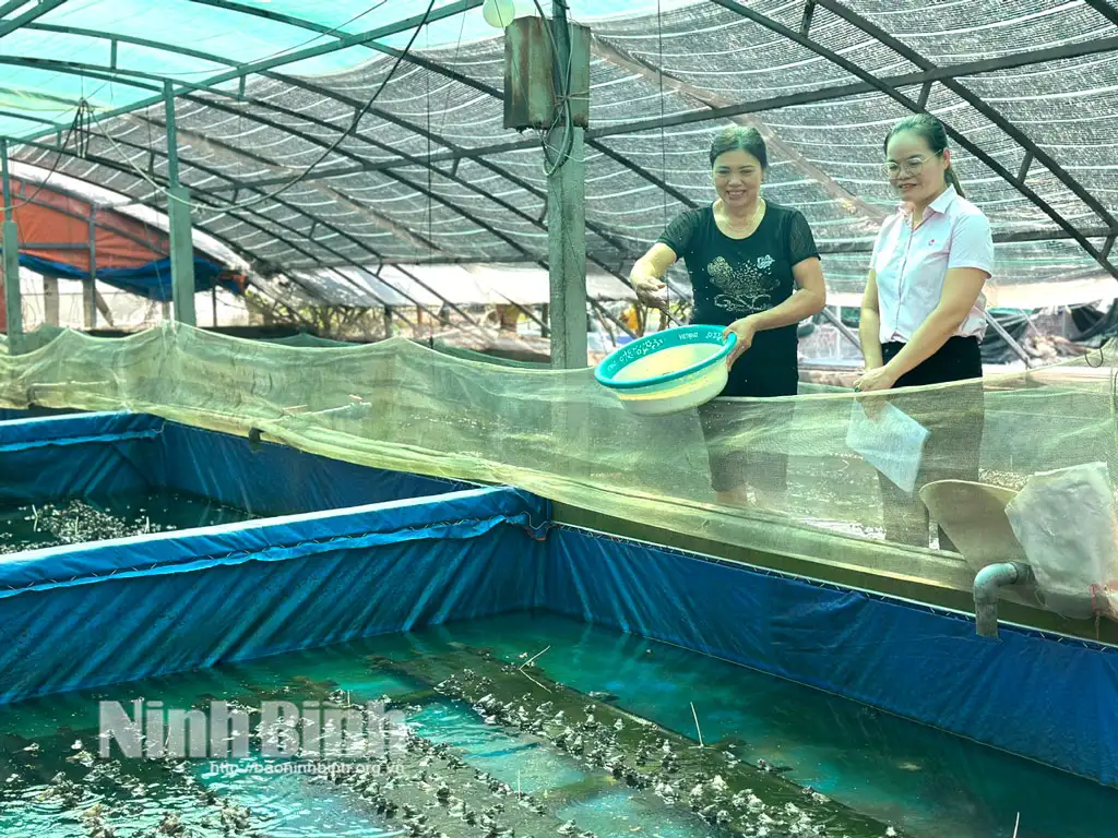 Ninh Bình: Tập trung nhiều giải pháp, phát huy hiệu quả tín dụng chính sách trong giai đoạn mới