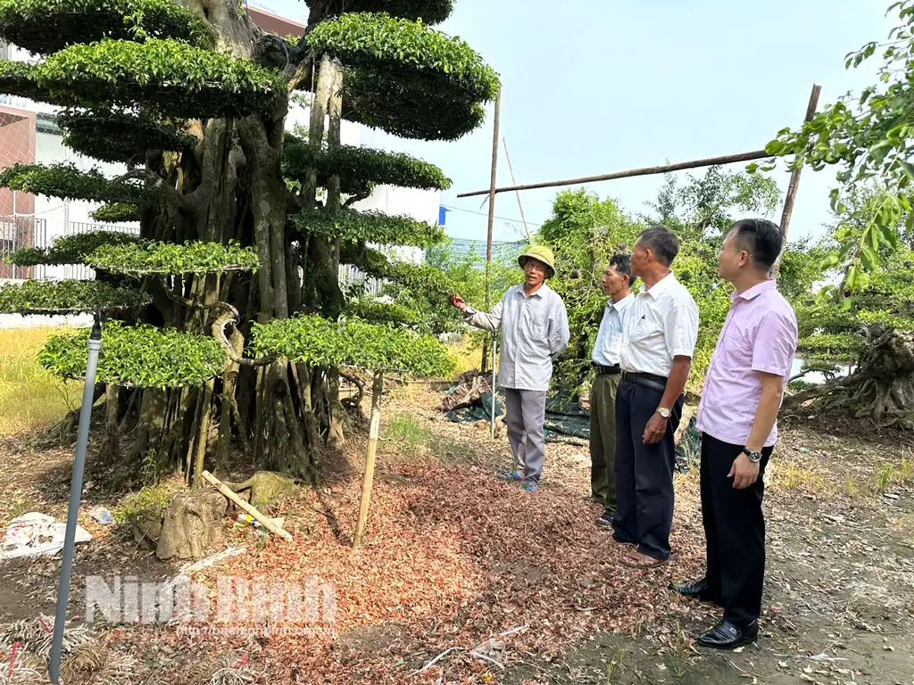 Ninh Bình: Tập trung nhiều giải pháp, phát huy hiệu quả tín dụng chính sách trong giai đoạn mới