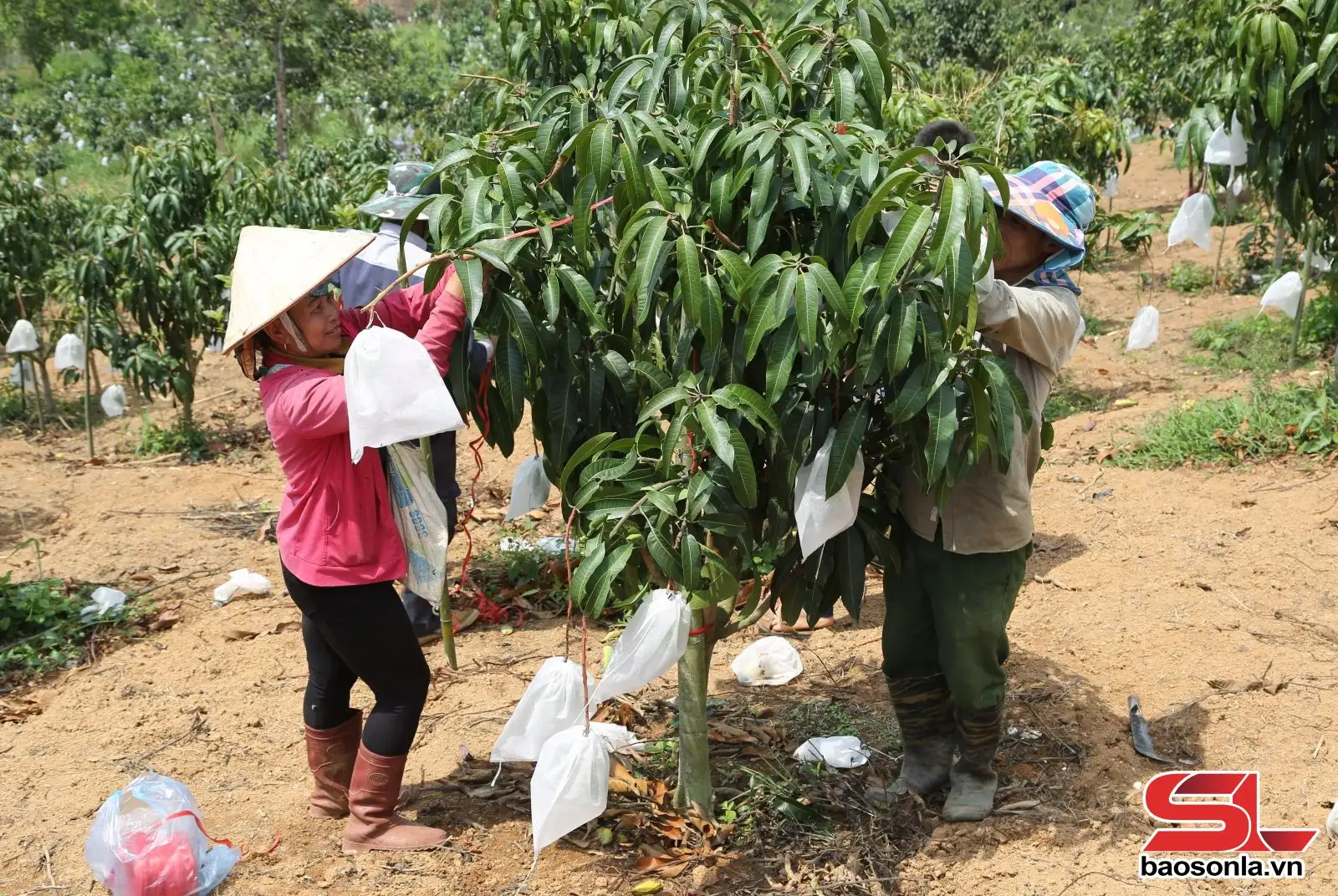 Nỗ lực giảm nghèo ở xã biên giới