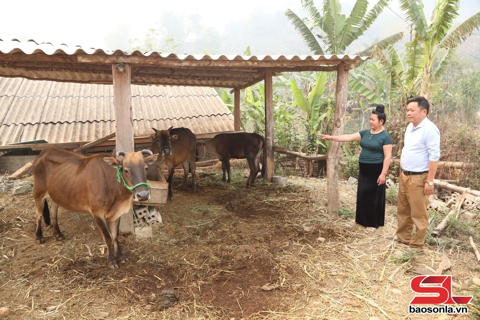 Nỗ lực giảm nghèo ở xã biên giới