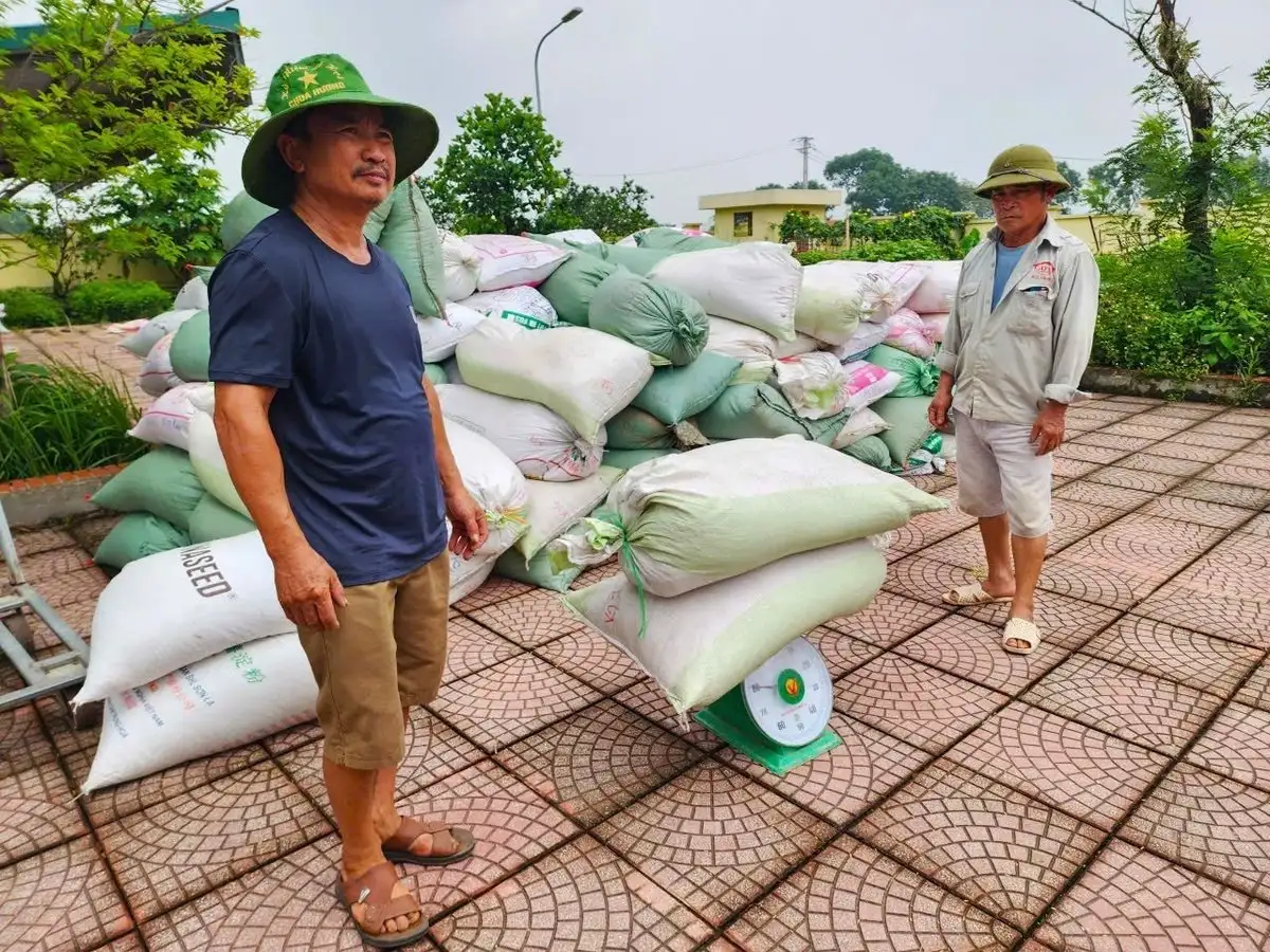 Nơi nông dân chân không lấm bùn