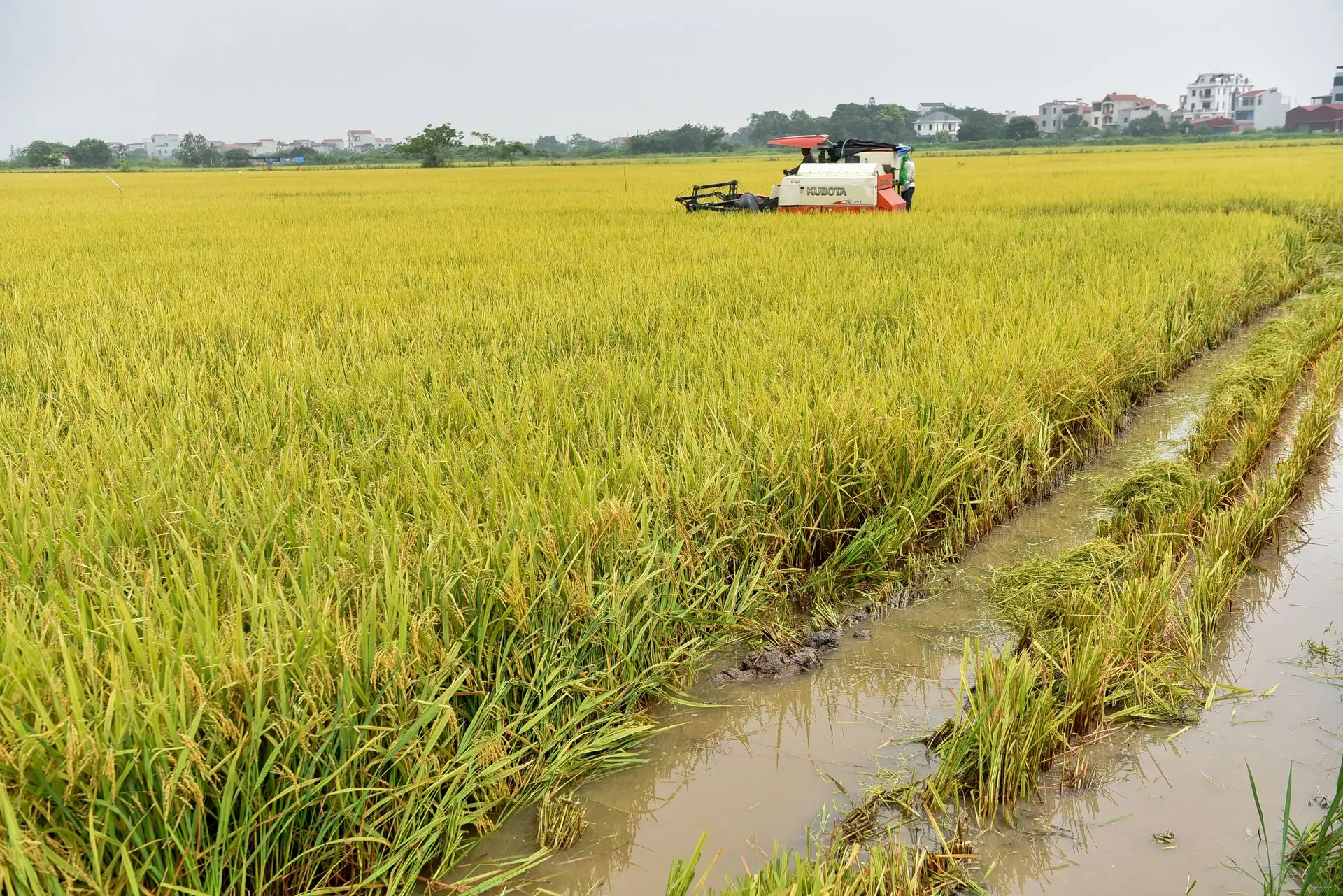 Nơi nông dân chân không lấm bùn