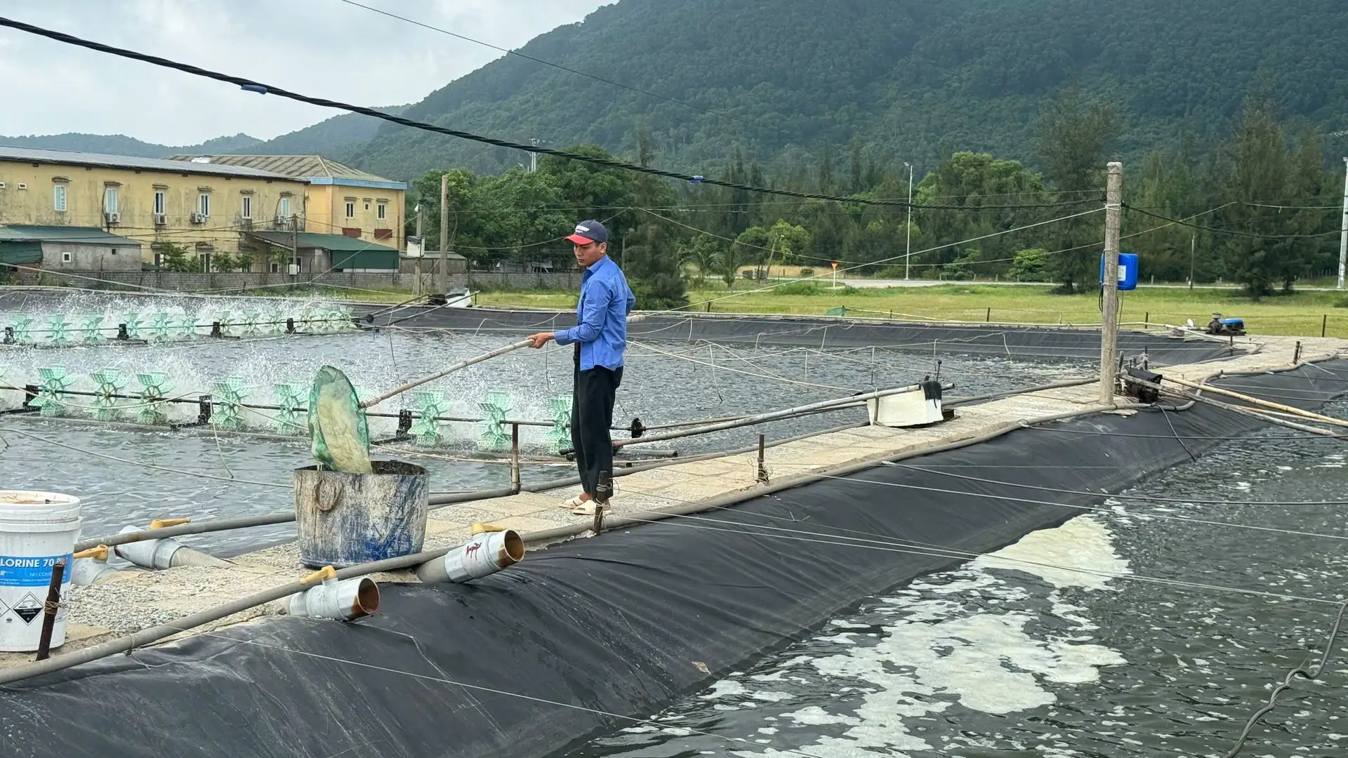 Nông dân gượng lại sau bão, tăng tốc khôi phục sản xuất