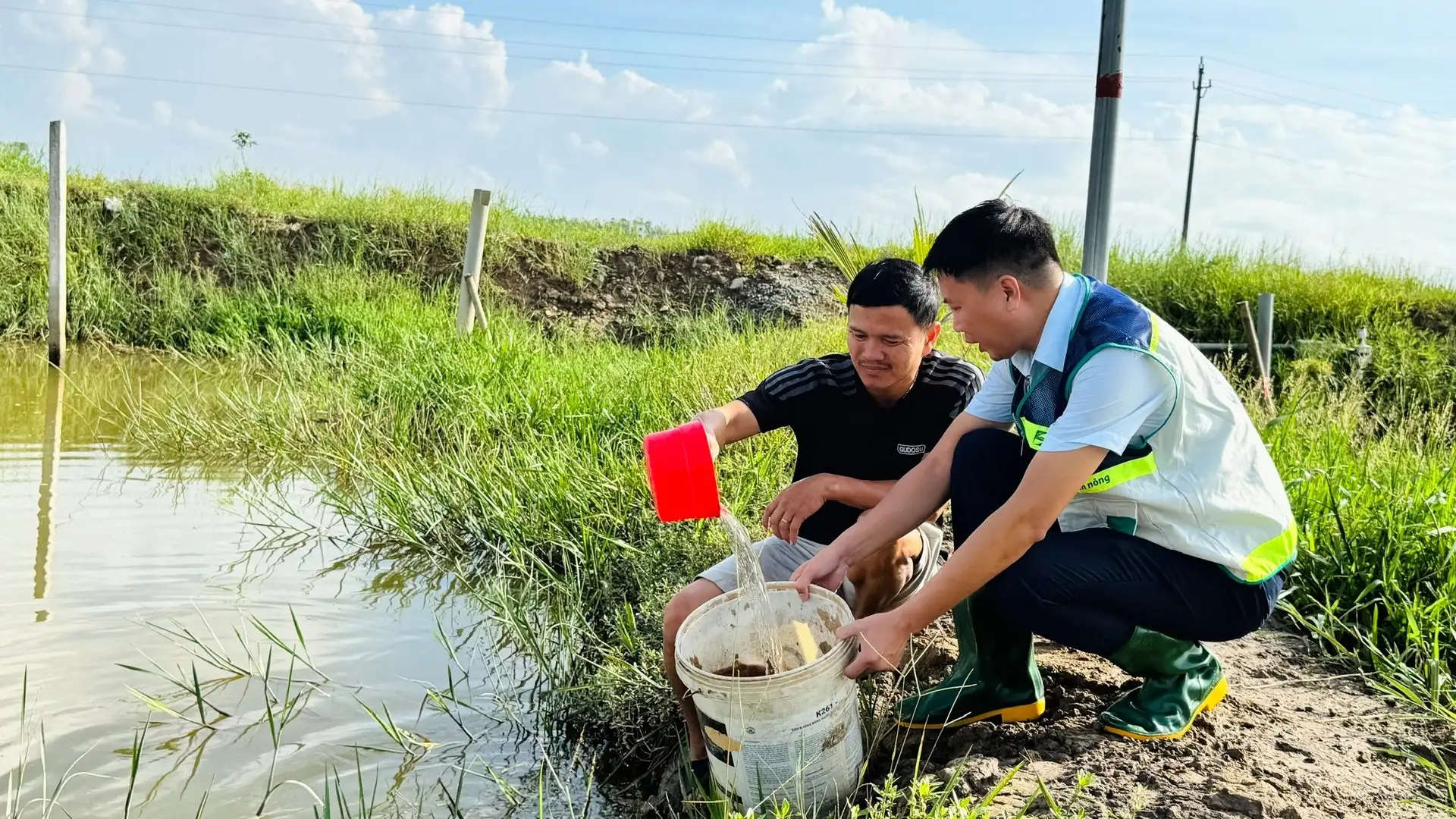 Nông dân gượng lại sau bão, tăng tốc khôi phục sản xuất