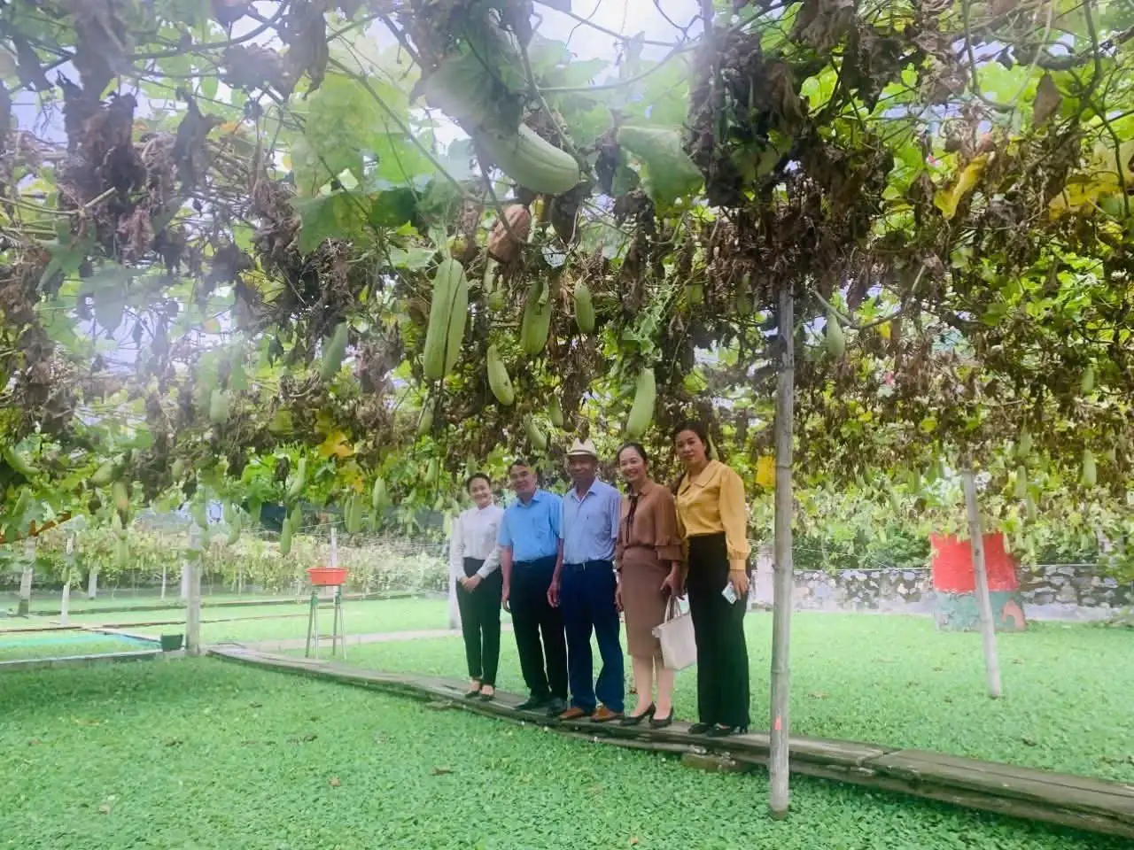 Nông dân Hải Phòng đầu tư hiệu quả Quỹ Hỗ trợ nông dân, xuất hiện các mô hình tốt, nuôi ốc nhồi bán làm con đặc sản