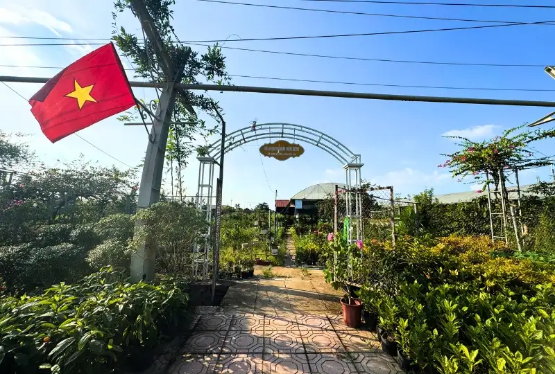 Nông dân Phúc Thọ biến khu vườn nhà thành điểm đến du lịch nông thôn