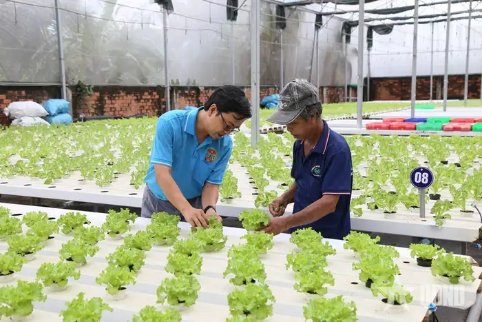 Nông nghiệp công nghệ cao TP Hồ Chí Minh: Đúng hướng nhưng còn nhiều thách thức