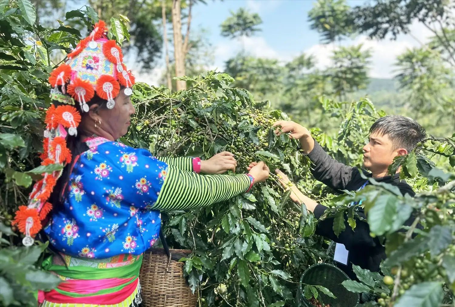 Nông nghiệp gắn với du lịch