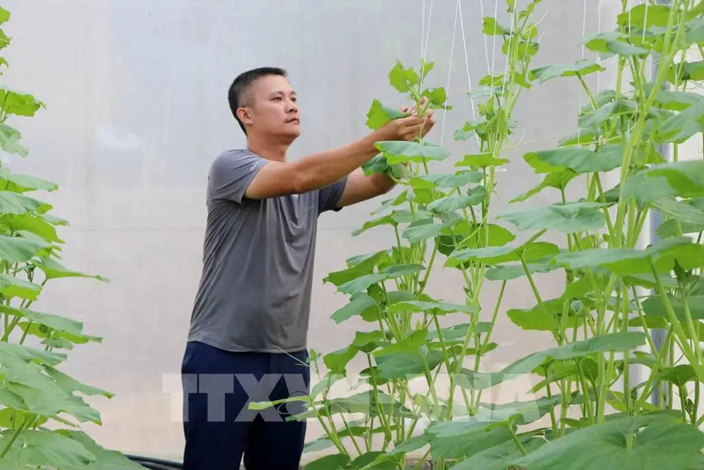 Nông nghiệp Tuyên Quang bứt phá với chuyển đổi số và phát triển xanh