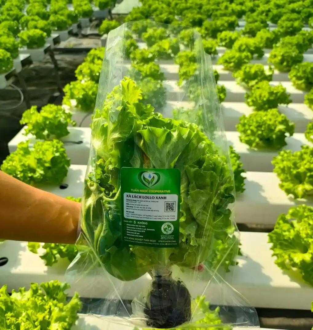 Nông sản TP.HCM bứt phá tiêu thụ trên nền tảng thương mại điện tử