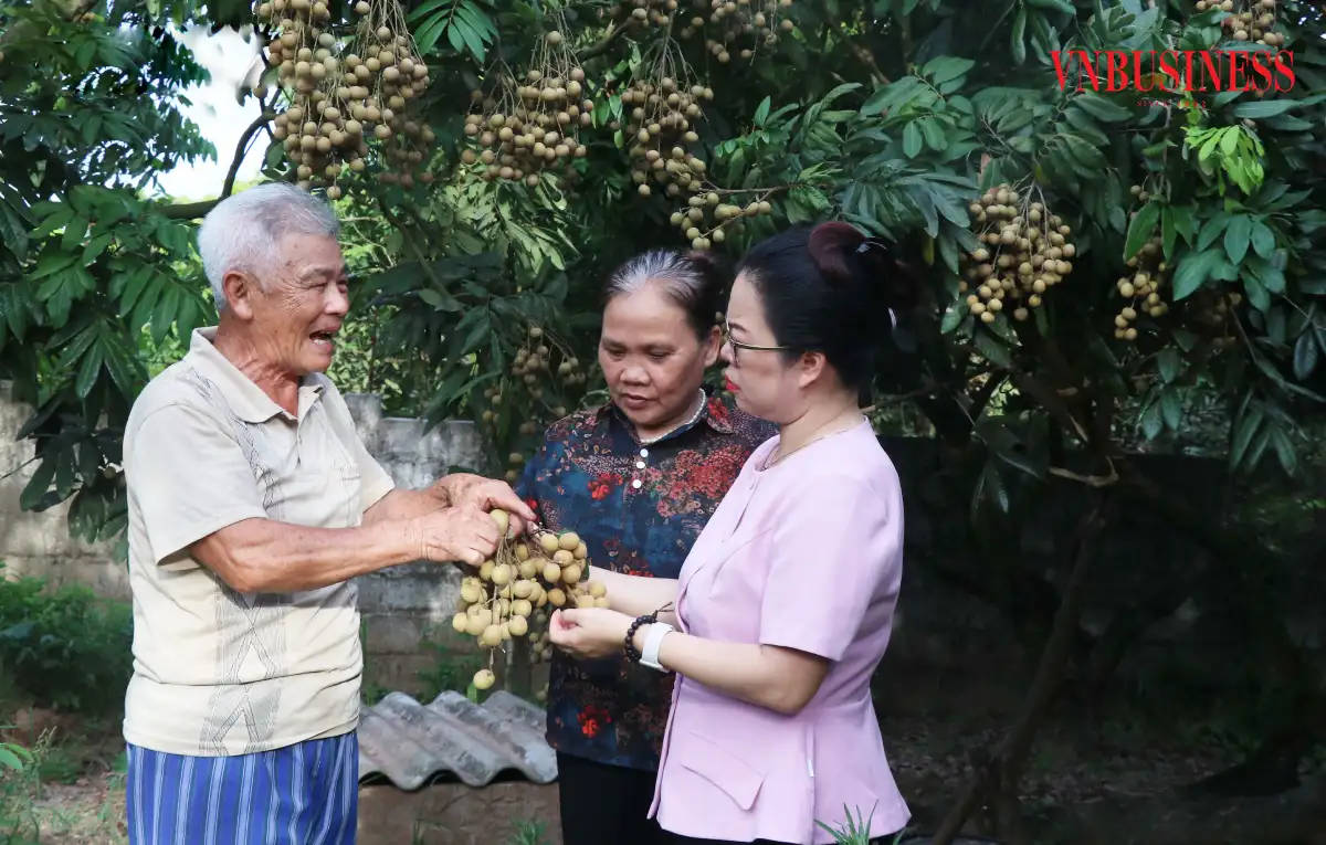 Nông thôn mới Hưng Yên chuyển mình cùng chính quyền địa phương 2 cấp