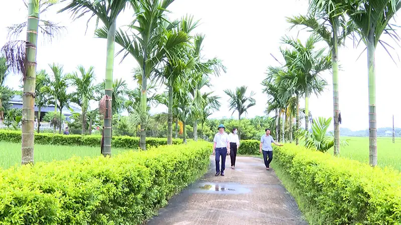 Nông thôn mới làm thay đổi diện mạo nhiều vùng quê xứ Thanh