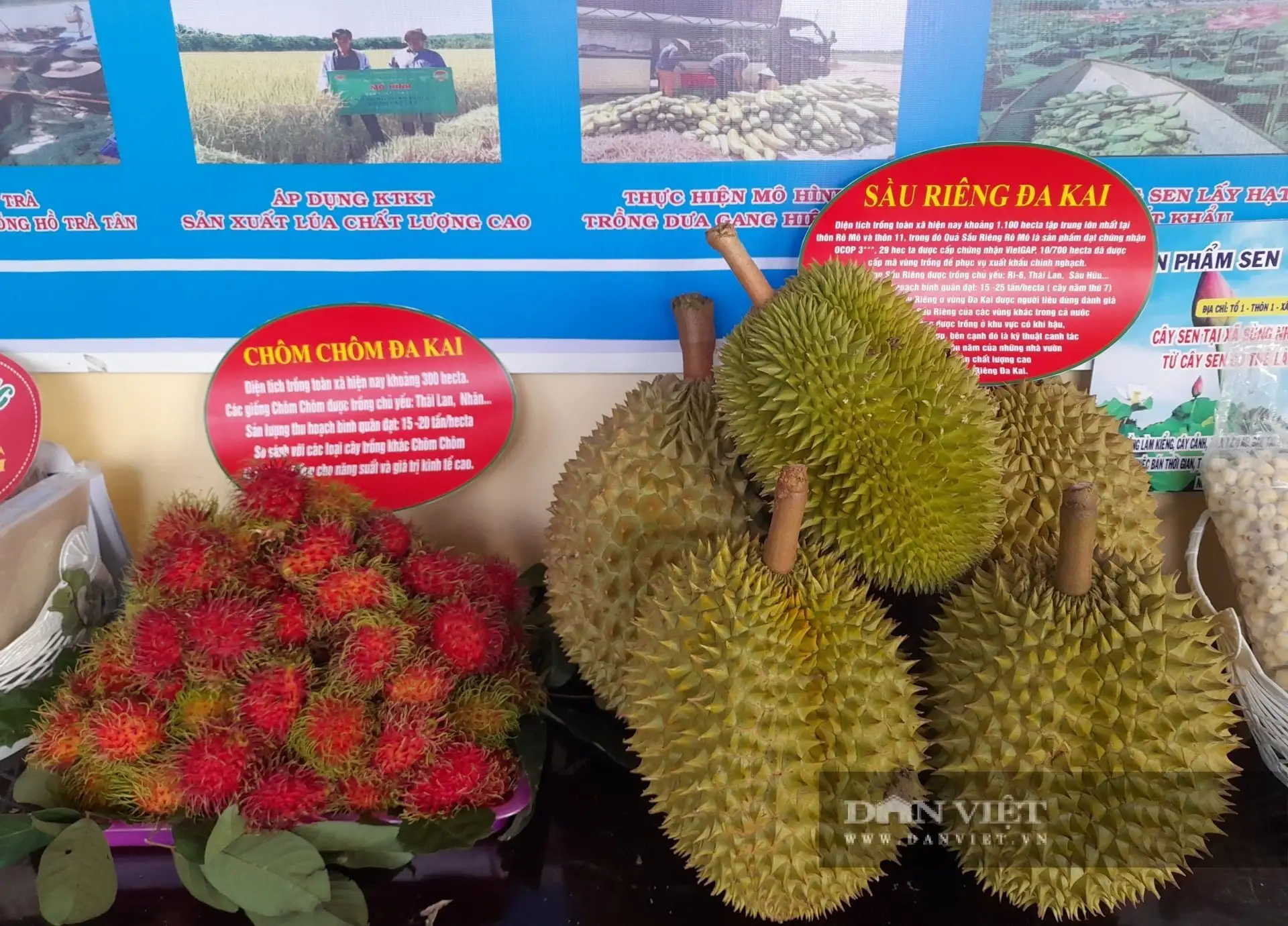 Nông thôn mới ở một xã tỉnh Lâm Đồng đến năm 2030 thu nhập đầu người trên 110 triệu đồng/năm