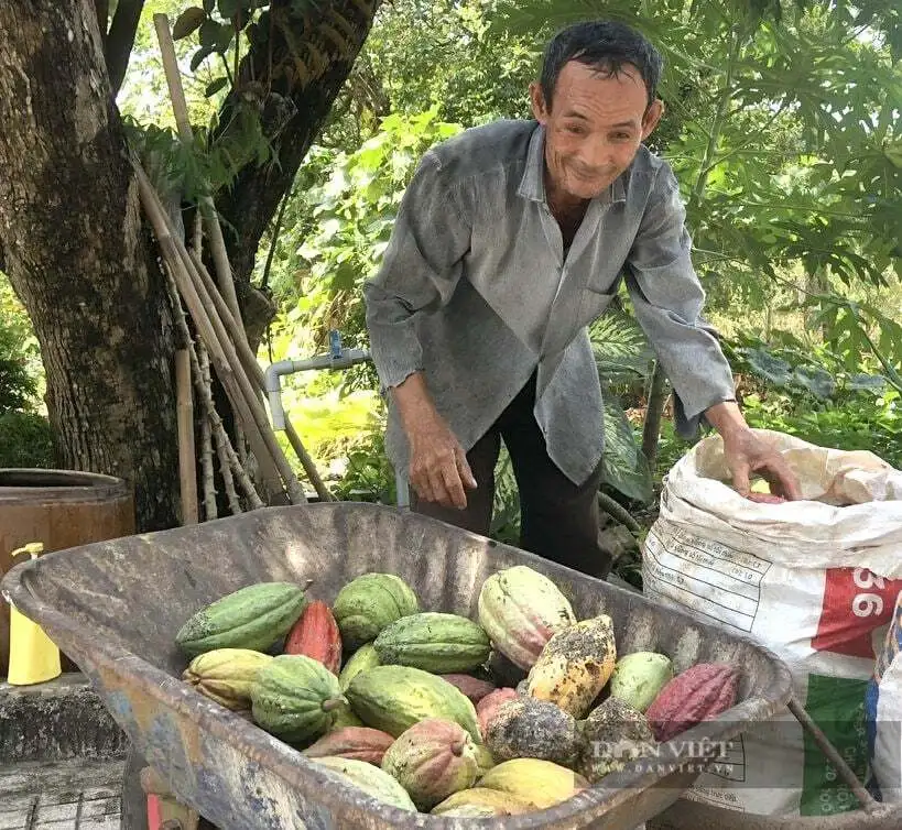 Nông thôn mới ở một xã tỉnh Lâm Đồng đến năm 2030 thu nhập đầu người trên 110 triệu đồng/năm